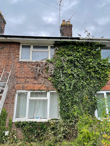 Wrexham Weed Control & Roof Cleaning - Landscaper