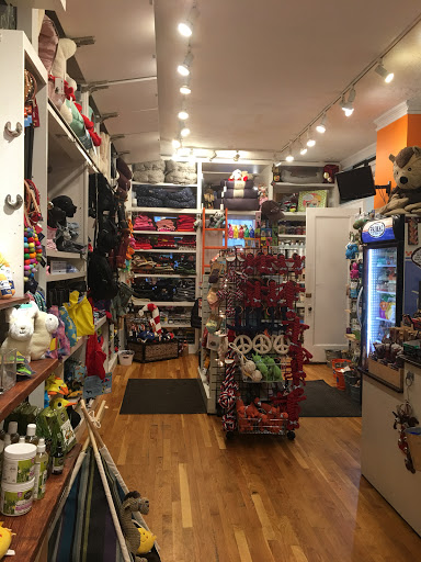 Pet Supply Store «The Fish & Bone, Boston MA», reviews and photos, 217 Newbury St, Boston, MA 02116, USA