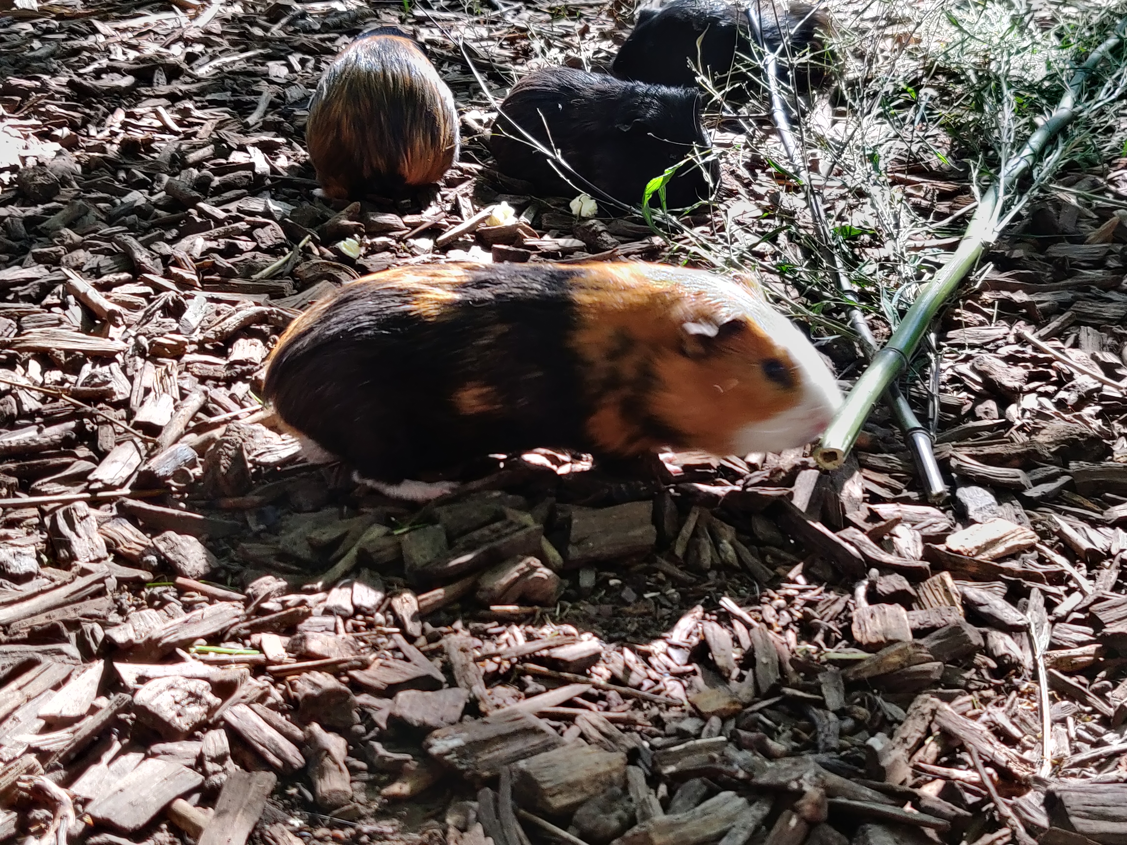Photo n° 15 de l'avis de Quentin.H fait le 09/08/2022 à 13:55