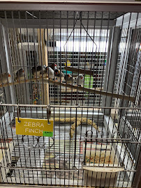 Bayouabird - Photo 6 - Car repair in Denham Springs, LA, Baton Rouge