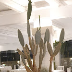 Photo n°4 de l'avis de Cinzia.a fait le 06/05/2023 à 16:56 sur le  Masseria Bandino à Otranto