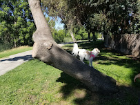 Bark'n Biscuit Salon - Photo 6 - Car repair in Merced, CA, Merced