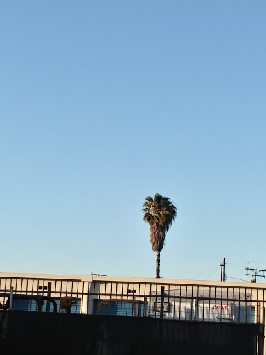 Self-Storage Facility «Low Cost Storage Stanton», reviews and photos, 10850 Beach Blvd, Stanton, CA 90680, USA