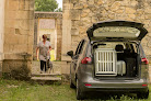 Dibaro, caisse de transport pour chien Mézières-en-Brenne