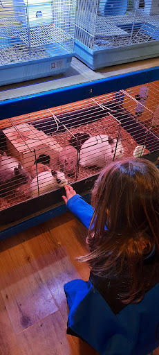 Agrobotiga Bitxos L' Escala - L'Escala