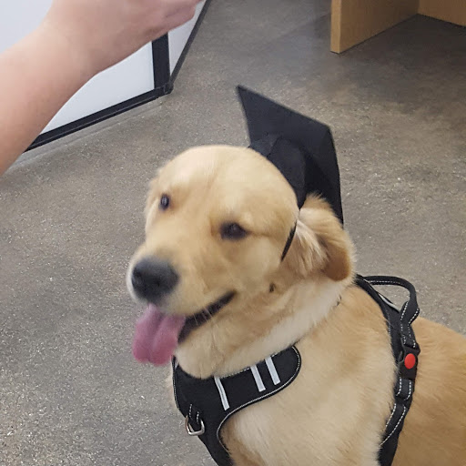 Pet Supply Store «Petco Animal Supplies», reviews and photos, 24413 Crenshaw Blvd #8, Torrance, CA 90505, USA