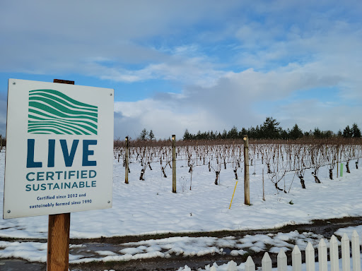 Winery «Chateau Bianca Winery», reviews and photos, 17485 OR-22, Dallas, OR 97338, USA