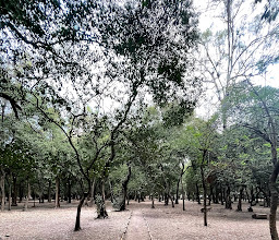 Gandhi Park photo