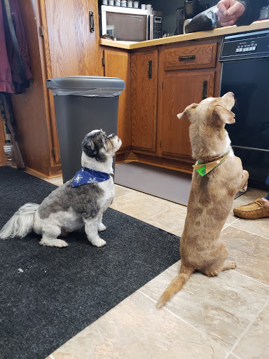 Pet Supply Store «Pet Supplies Plus», reviews and photos, 2500 S Main St, Rice Lake, WI 54868, USA