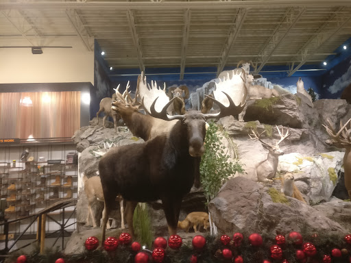 Outdoor Sports Store «Field & Stream», reviews and photos, 2075 Interchange Rd, Erie, PA 16509, USA