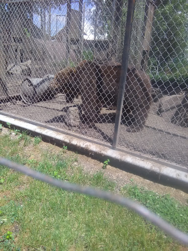 Zoo «Cricket Hollow Zoo», reviews and photos, 1512 210th St, Manchester, IA 52057, USA