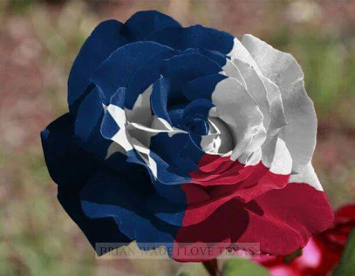 Craft Store «Michaels», reviews and photos, 1359 N McDowell Blvd, Petaluma, CA 94954, USA