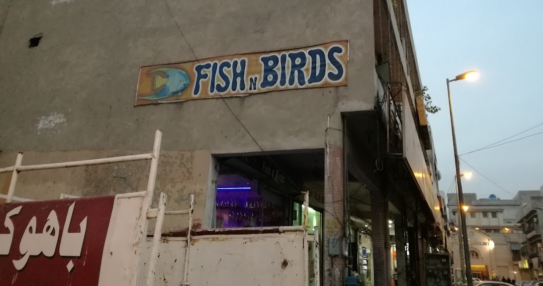 Fish & Birds