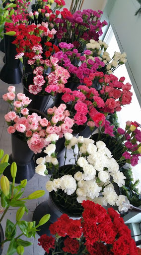 Florist «Tri-City Florist», reviews and photos, 1817 W Vista Way A, Vista, CA 92083, USA