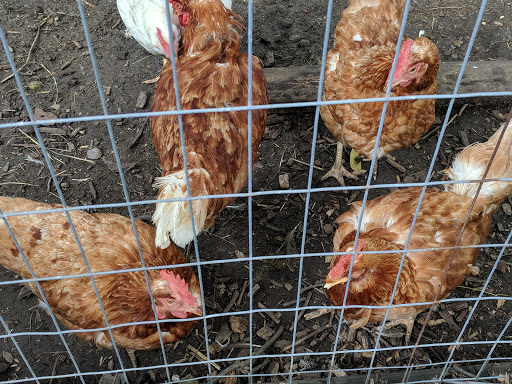 Produce Market «Highland Orchards Farm Market», reviews and photos, 1431 Foulk Rd, Wilmington, DE 19803, USA