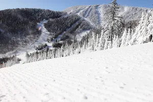 Gore Mountain image