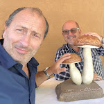 Photo n°1 de l'avis de MAURO.A fait le 01/11/2022 à 18:38 sur le  Ristorante Ai Castagni à Seravezza