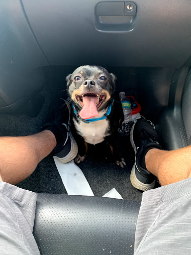 Pet Supply Store «Petco Animal Supplies», reviews and photos, 7223 Coastal Blvd, Brooksville, FL 34613, USA