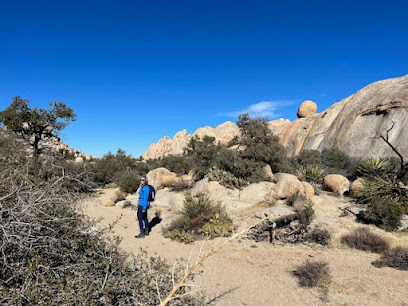 Wandering Mojave Hiking Services