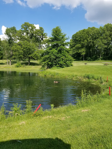 Golf Club «Gull Lake View Golf Club & Resort», reviews and photos, 7417 N 38th St, Augusta, MI 49012, USA