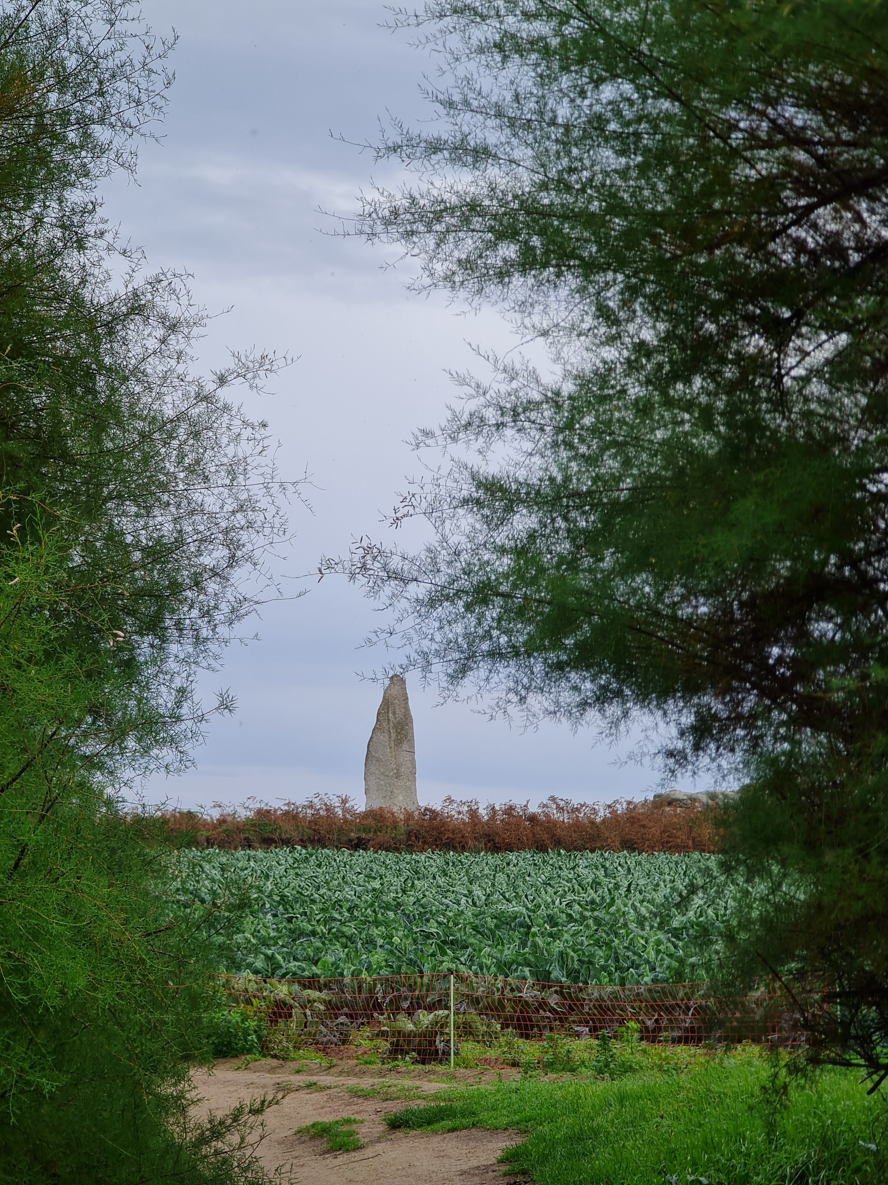 Photo n° 2 de l'avis de Claire.m fait le 25/10/2022 à 20:44