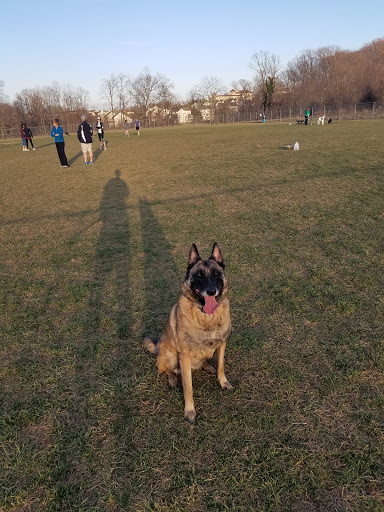 Dog Park «Worthington Off Leash Dog Park», reviews and photos, 8170 Hillsborough Rd, Ellicott City, MD 21043, USA