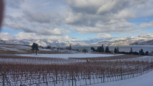 Winery «Tsillan Cellars», reviews and photos, 3875 Hwy 97A, Chelan, WA 98816, USA