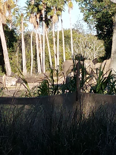 Performing Arts Theater «Blue Man Group», reviews and photos, 6000 Universal Blvd, Orlando, FL 32819, USA