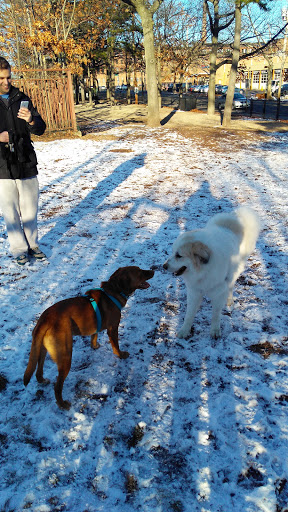 Park «Union Street Dog Park», reviews and photos, 59 Fair St, New Haven, CT 06511, USA
