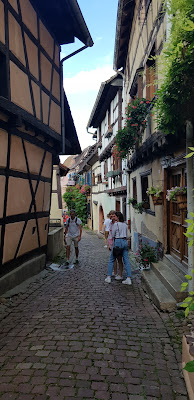 Espace Culturel Les Marronniers à Eguisheim