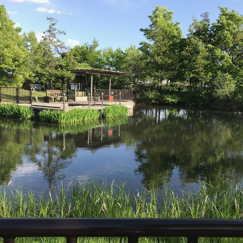足立区立桑袋ビオトープ公園 東京都足立区花畑 公園 グルコミ