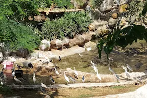 22 Aqua Birds Enclosure (Byculla zoo) image