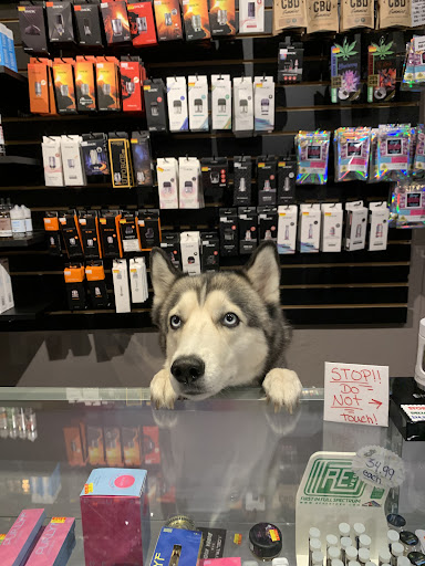 Tobacco Shop «Kush Cloud Smoke Shop», reviews and photos, 2118 W Busch Blvd, Tampa, FL 33612, USA