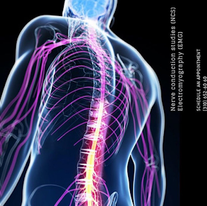 California Sports and Rehab- Santa Ana