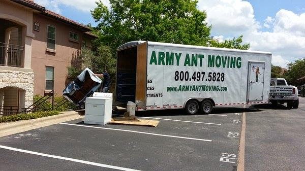 Army Ant Moving
