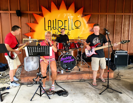 Winery «Laurello Vineyards», reviews and photos, 4573 OH-307, Geneva, OH 44041, USA