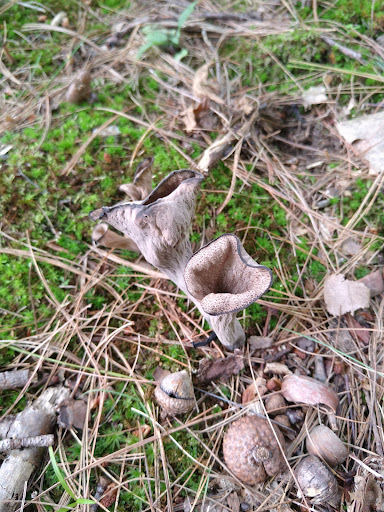 Golf Club «Crystal Lake Golf Club», reviews and photos, 940 N Broadway, Haverhill, MA 01832, USA