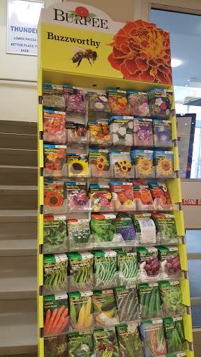 Grocery Store «Stop & Shop», reviews and photos, 248 Flanders Rd, Niantic, CT 06357, USA