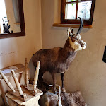 Photo n°23 de l'avis de Gloria. fait le 25/06/2019 à 18:40 sur le  Schankwirtschaft Pfronten à Pfronten