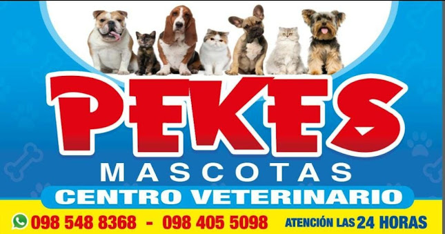 Pekes Mascotas Centro Veterinario - Veterinario