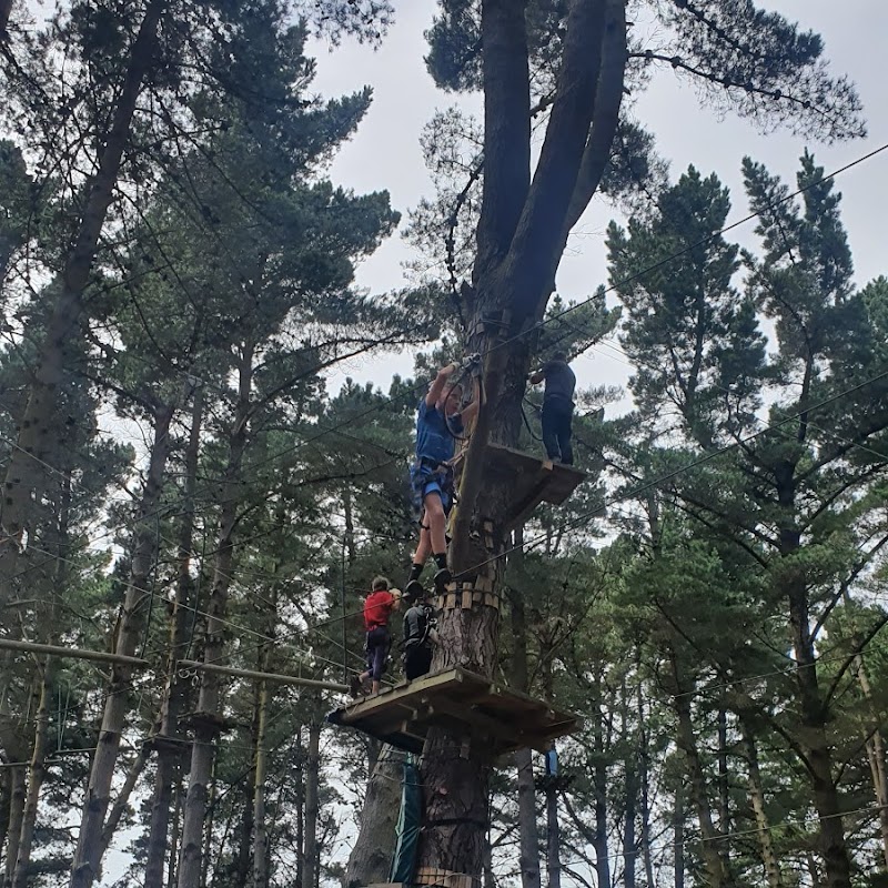 Adrenalin Forest Christchurch