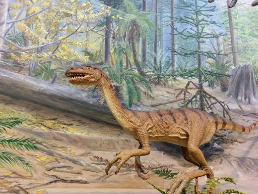 Natural History Museum «Burke Museum of Natural History and Culture», reviews and photos, 1413 NE 45th St, Seattle, WA 98105, USA