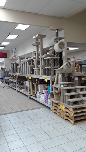 Pet Store «Pet Club South San Francisco», reviews and photos, 1 Chestnut Ave, South San Francisco, CA 94080, USA