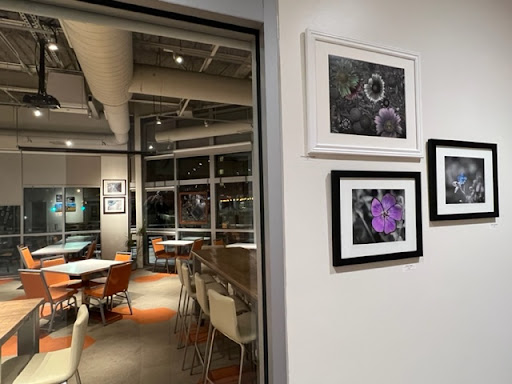 Health Food Store «The Mustard Seed Market and Cafe», reviews and photos, 867 W Market St, Akron, OH 44303, USA