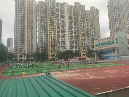 教練學校 深圳