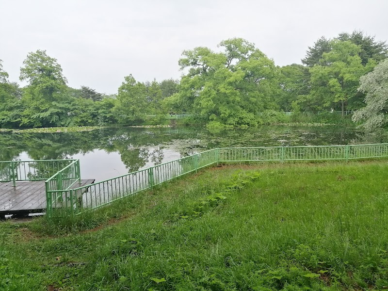 湯沢中央公園