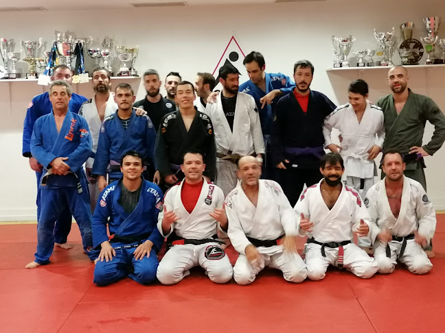 Avaliações doMarcão ArtSuave Jiu- jitsu em Porto - Academia