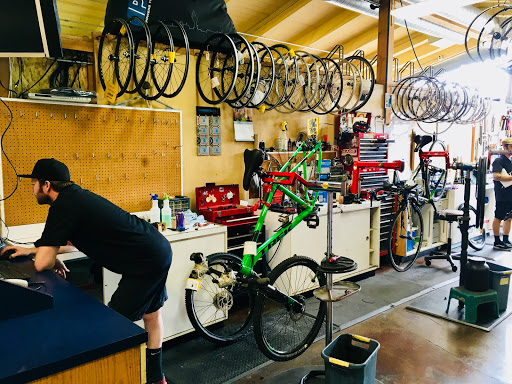 Bicycle Store «Bike Gallery - Beaverton», reviews and photos, 12345 SW Canyon Rd, Beaverton, OR 97005, USA