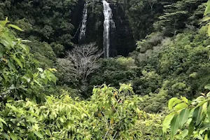 'Opaeka'a Falls image