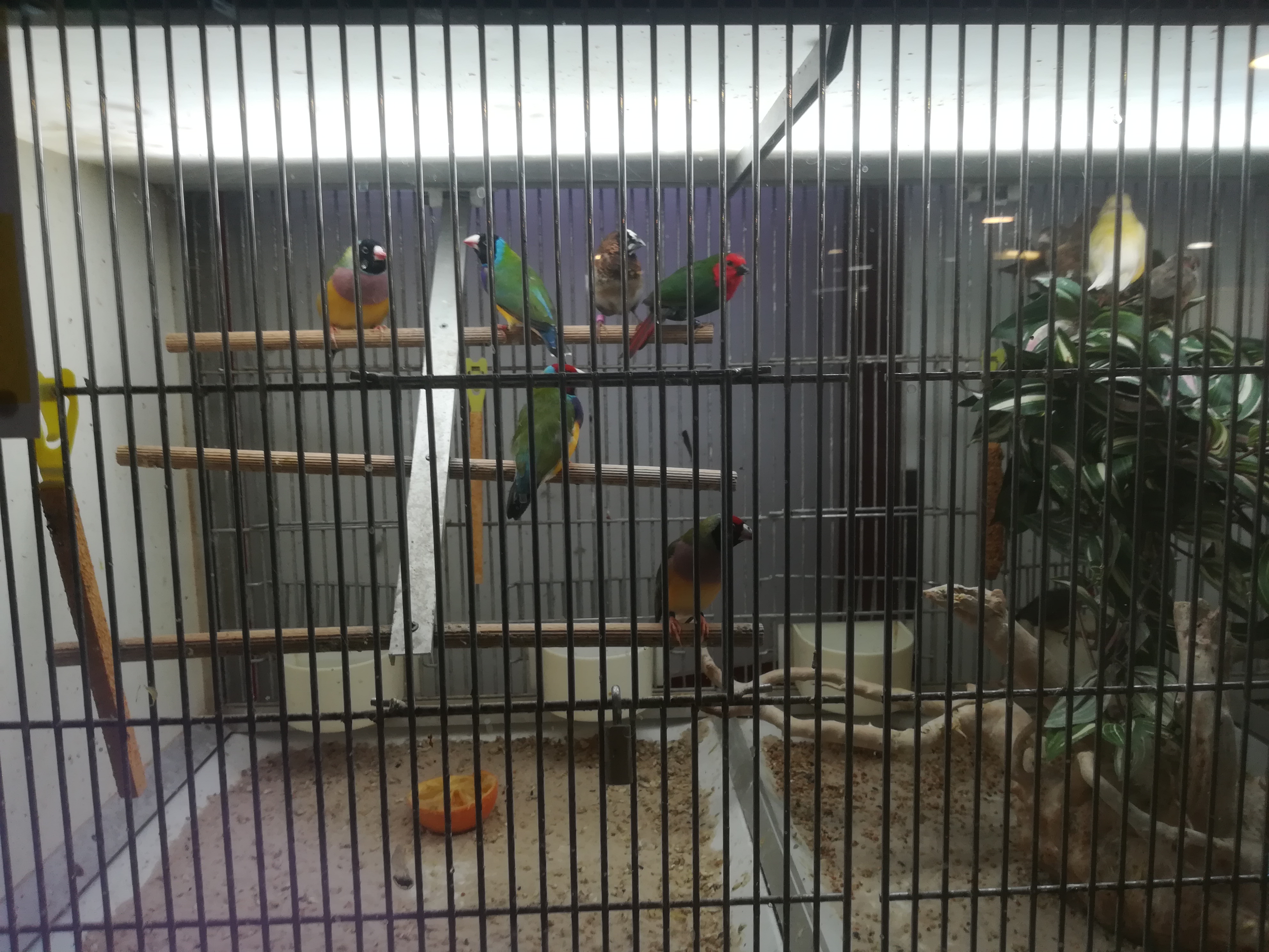 Photo n° 16 de l'avis de Gazel. fait le 17/10/2020 à 17:09
